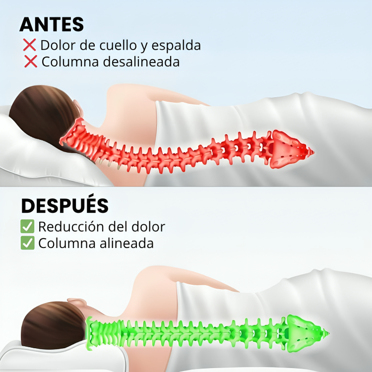 Almohada Ergorest®