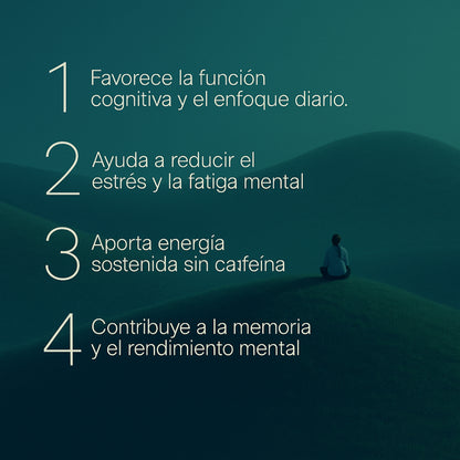 NeuroZen